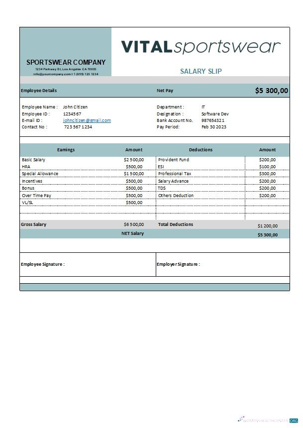 Download sportswear company earning statement template in Excel and PDF formats Photoshop template